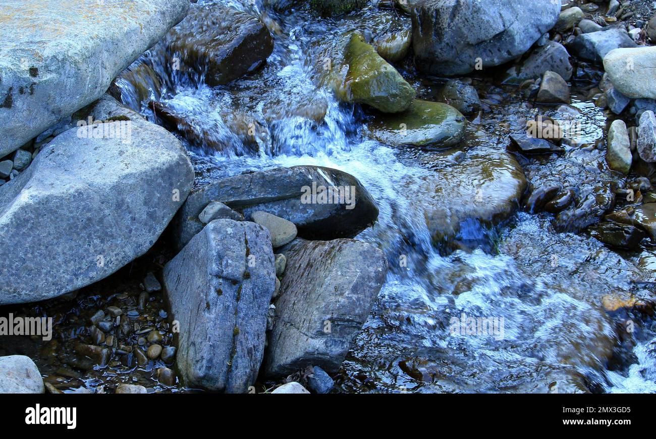 Ein Wasserstrahl fließt in einen Bach, der sich um Felsbrocken und Steine bückt Stockfoto