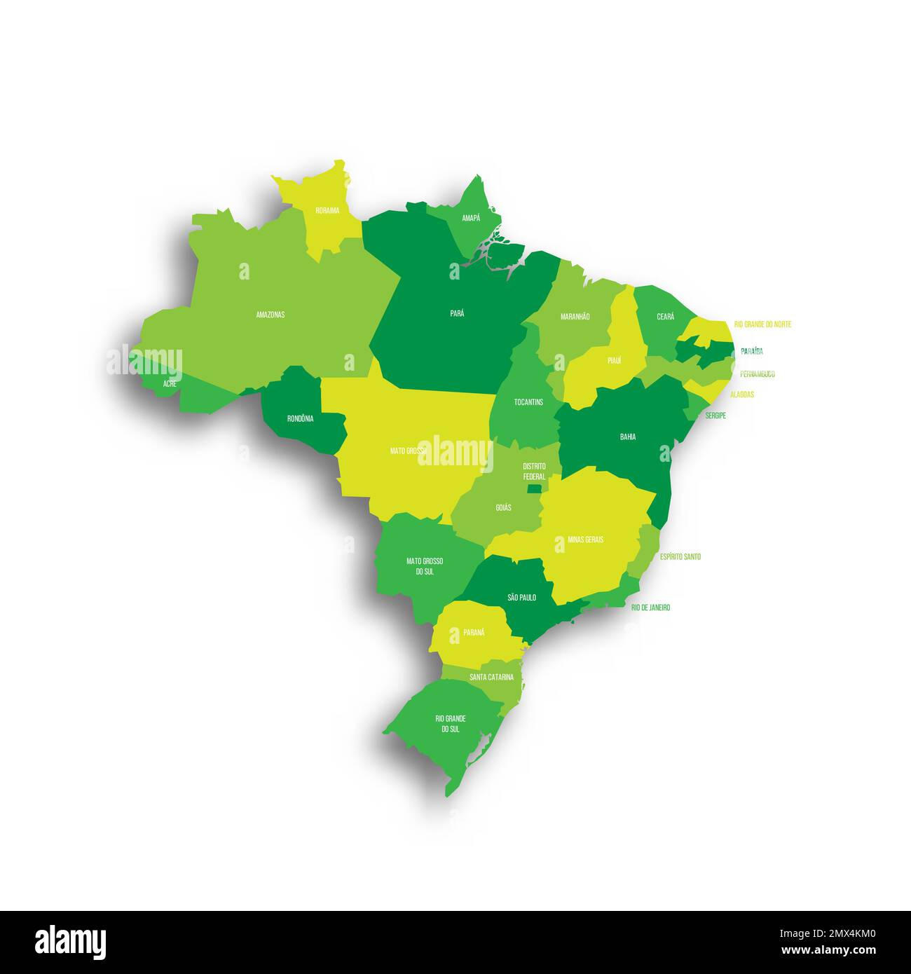 Politische Karte der Verwaltungsabteilungen Brasiliens Stock Vektor