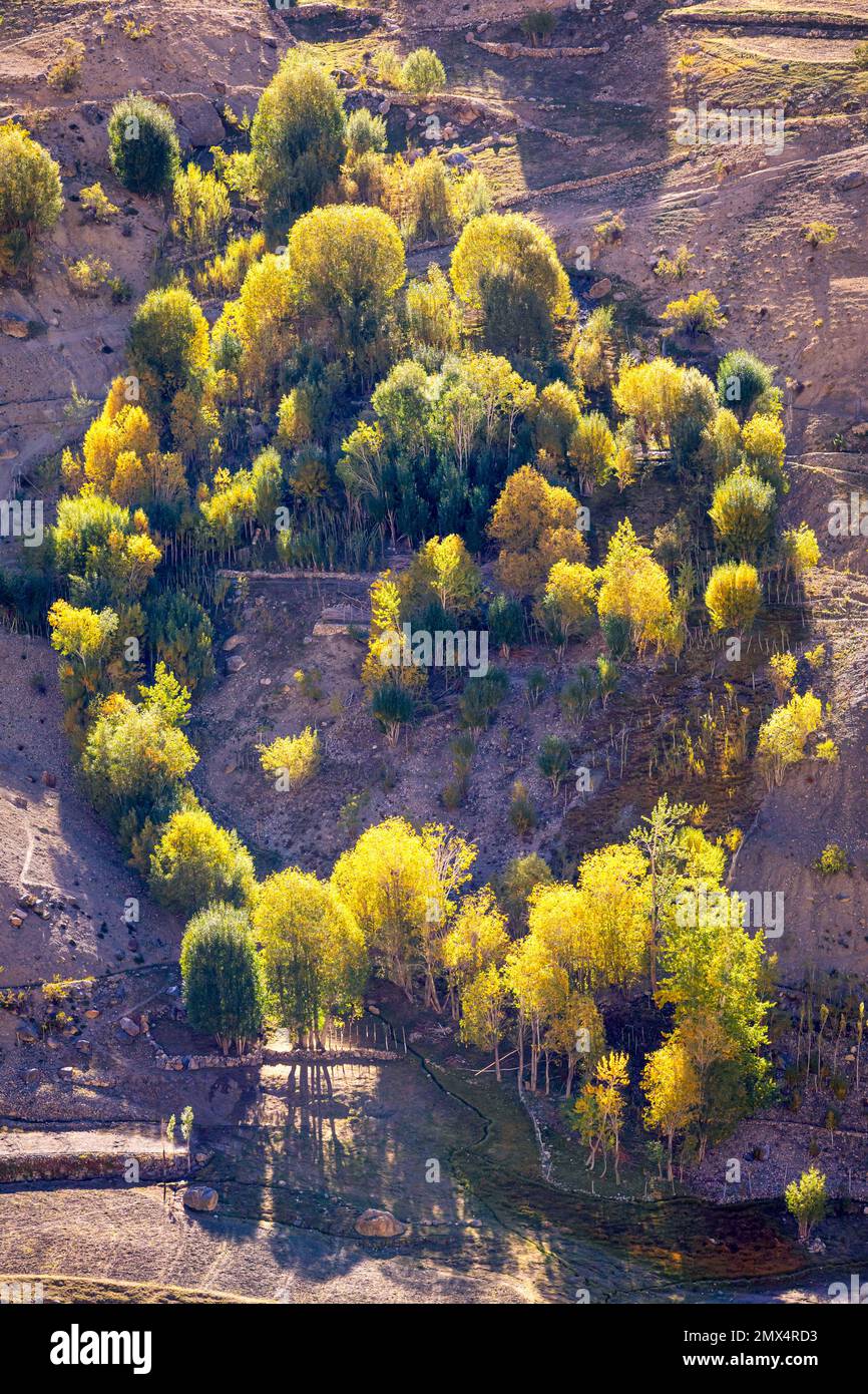 Lingshed, Ladakh, Indien Stockfoto