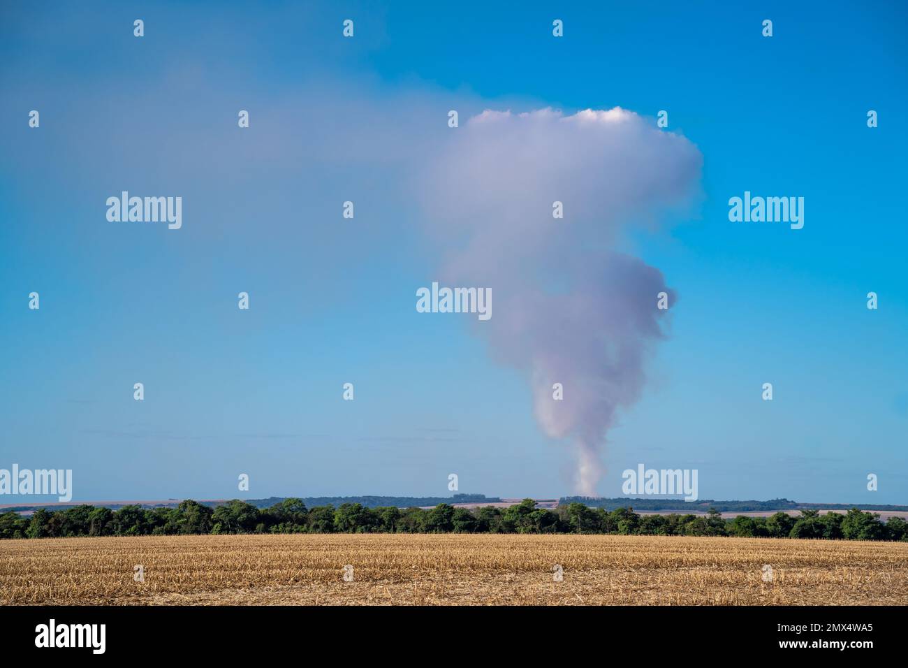 Drohnenansicht der entwaldung des amazonas aus der Vogelperspektive. Illegale Waldbrände in Sojabohnen- und Maisfarmen. Mato Grosso, Brasilien. Klimawandel, globale Erwärmung. Stockfoto