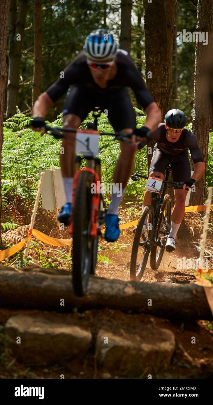 Commonweath Games 2022, Cannock Chase Uk Stockfoto