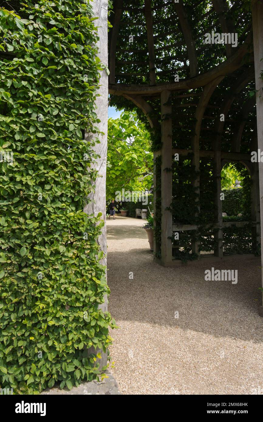 Pagoden aus grüner Eiche mit Hornbeam-Hedging, Bäume aus indischen Bohnen im Innenhof am Eingang zum Collector Earl's Garden, Arundel Castle, Großbritannien Stockfoto