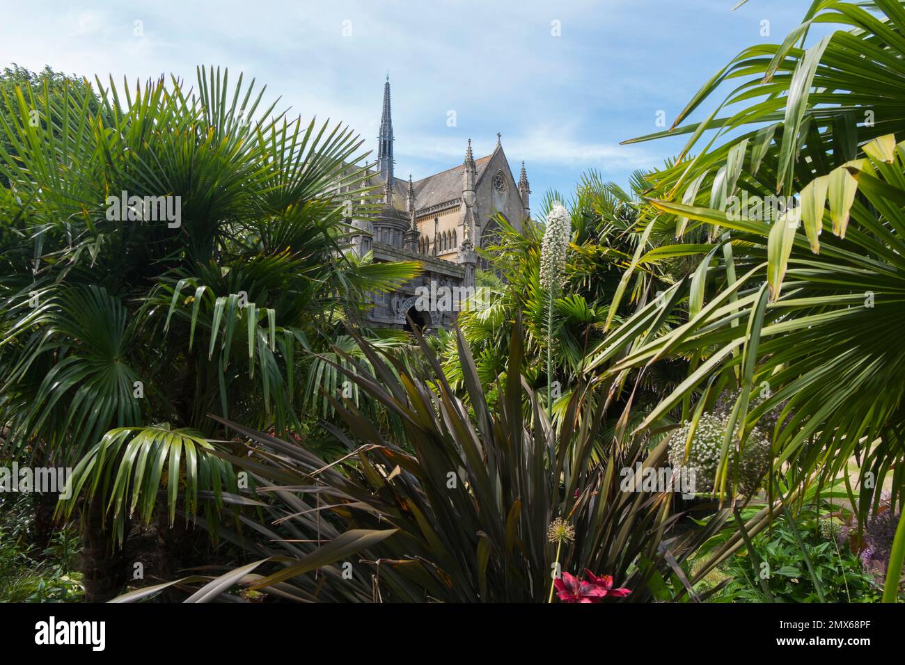 Baumfarne, Canna Lillies, Cordyline und Salvias im tropischen Garten, Teil des Earl's Garden mit Arundel Cathedral im Hintergrund. Stockfoto