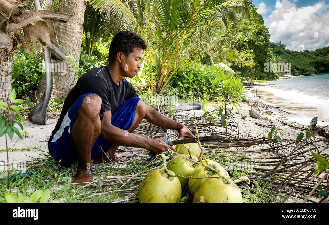 Junger asiatischer Fischer, der eine Kokosnuss auf einer tropischen Insel auf den philippinen öffnet. Echte Menschen, traditionelle Arbeit Stockfoto