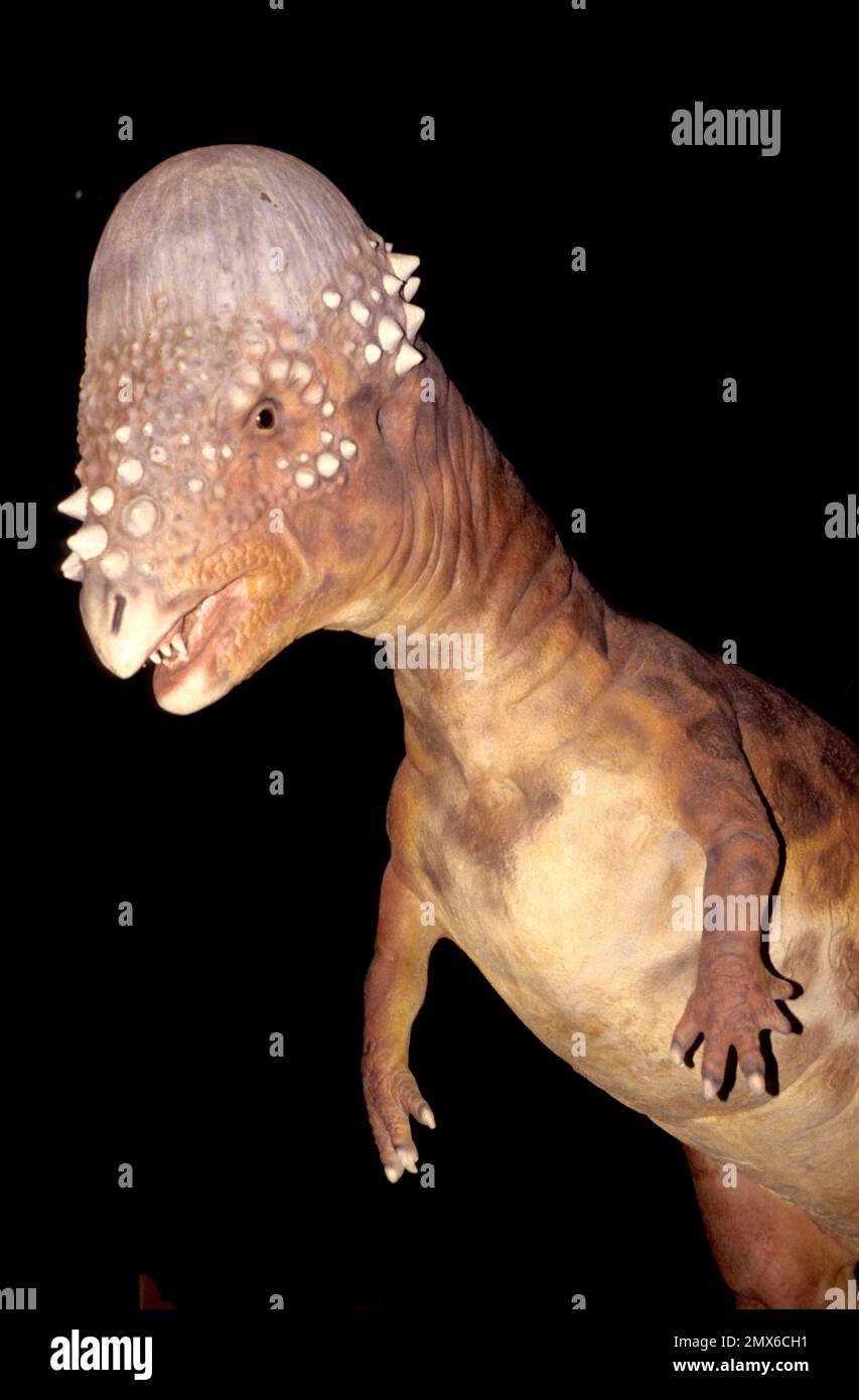 Lebensgroße animatronische Dinosaurier des amerikanischen Unternehmens Dinamation Corp auf der Ausstellung bei den „Dinosaurs Alive!“ Die Ausstellung im Alexandrea-Palast erfreuen Sie sich an der Besichtigung Stockfoto