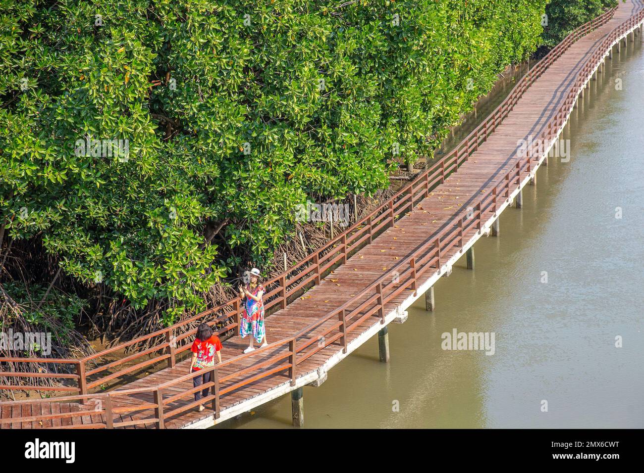 (230202) -- RAYONG, 2. Februar 2023 (Xinhua) -- Touristen machen Fotos in einem Mangroven-Feuchtgebiet in Rayong, Thailand, am 2. Februar 2023. Das Mangroven-Feuchtgebiet in Rayong umfasst eine Fläche von etwa 80 Hektar. Der 2. Februar ist der Welttag der Feuchtgebiete. Das diesjährige Thema des Welttags der Feuchtgebiete lautet „Es ist Zeit für die Wiederherstellung der Feuchtgebiete“ und unterstreicht die dringende Notwendigkeit, der Wiederherstellung von Feuchtgebieten Priorität einzuräumen. (Xinhua/Wang Teng) Stockfoto