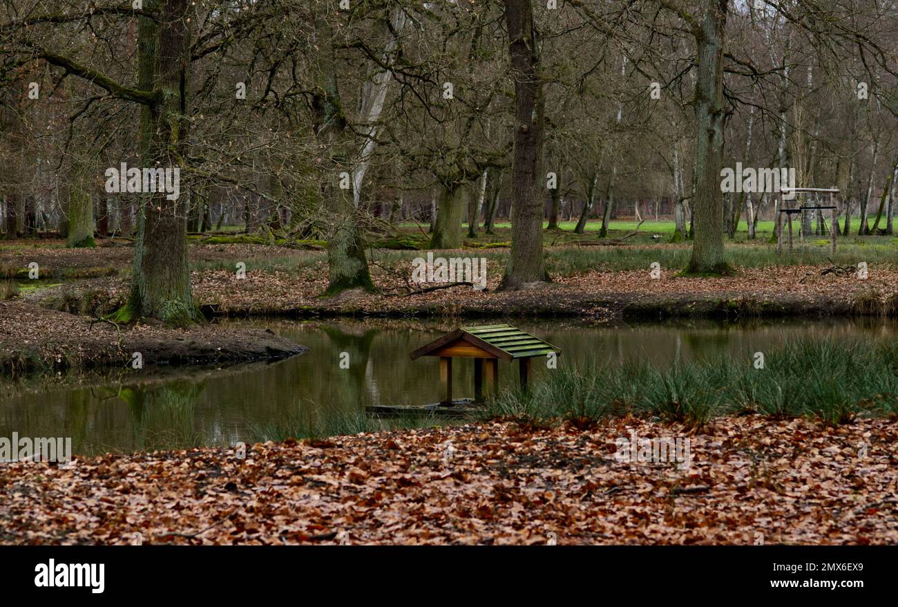 Ländliche Landschaft mit einem sehr kleinen Holzhäuschen an einem kleinen Teich (Lage: Wildpark 'Alte Fasanerie', Hanau, Hessen, Deutschland) Stockfoto