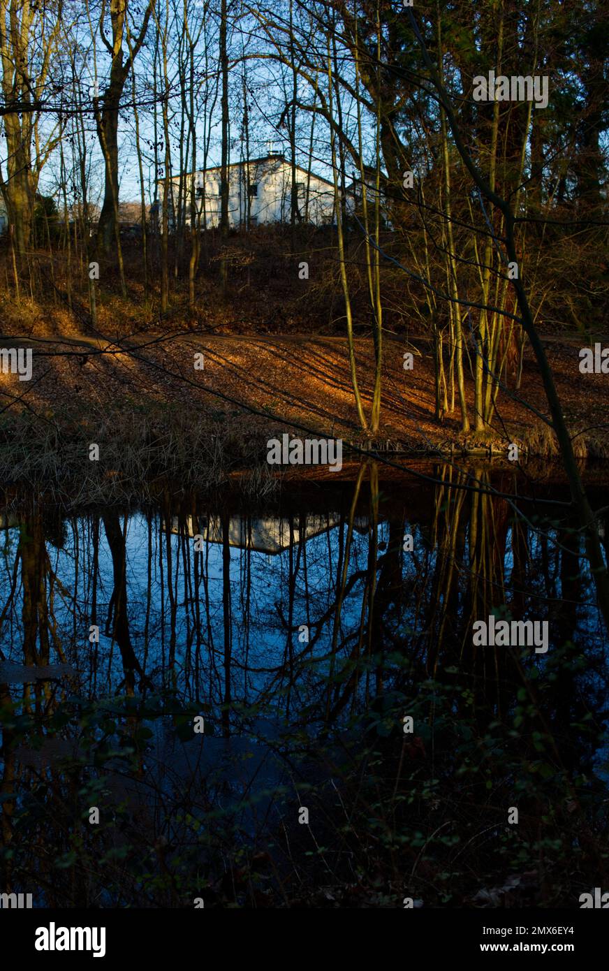 stimmungsvolle Winterlandschaft an einem Teich mit einem einzigen weißen Haus und Bäumen mit Wasserreflexionen in wunderschönen Blau- und Brauntönen Stockfoto