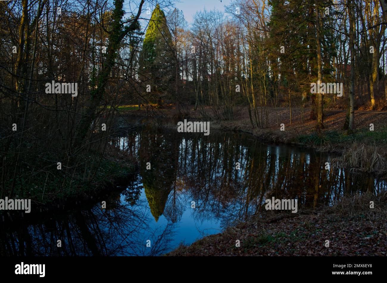 stimmungsvolle Winterlandschaft an einem Teich mit verschiedenen Bäumen und Wasserreflexionen in wunderschönen Farben von Blau, Braun und Grün. Stockfoto