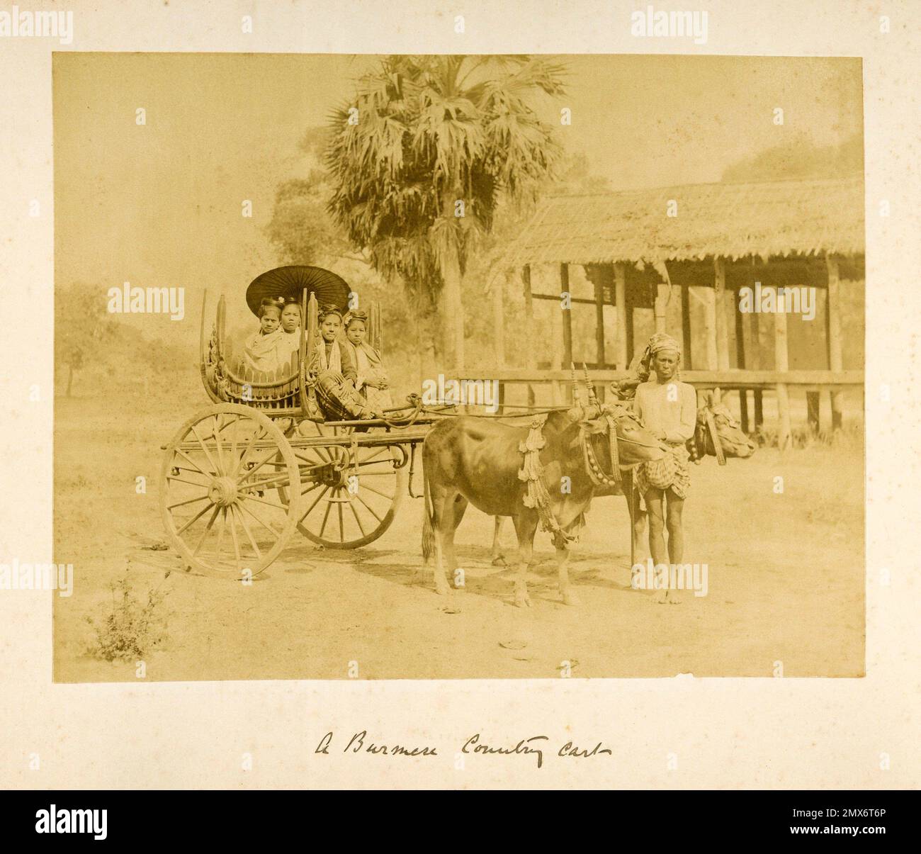 Der birmanische Landkarren. Jahrgang 1900, aufgenommen 1885 von Felice Beato, dem burmesischen öffentlichen Wagen. Album der birmanischen öffentlichen Verkehrsmittel; Felice Beato, 1832 - Stockfoto