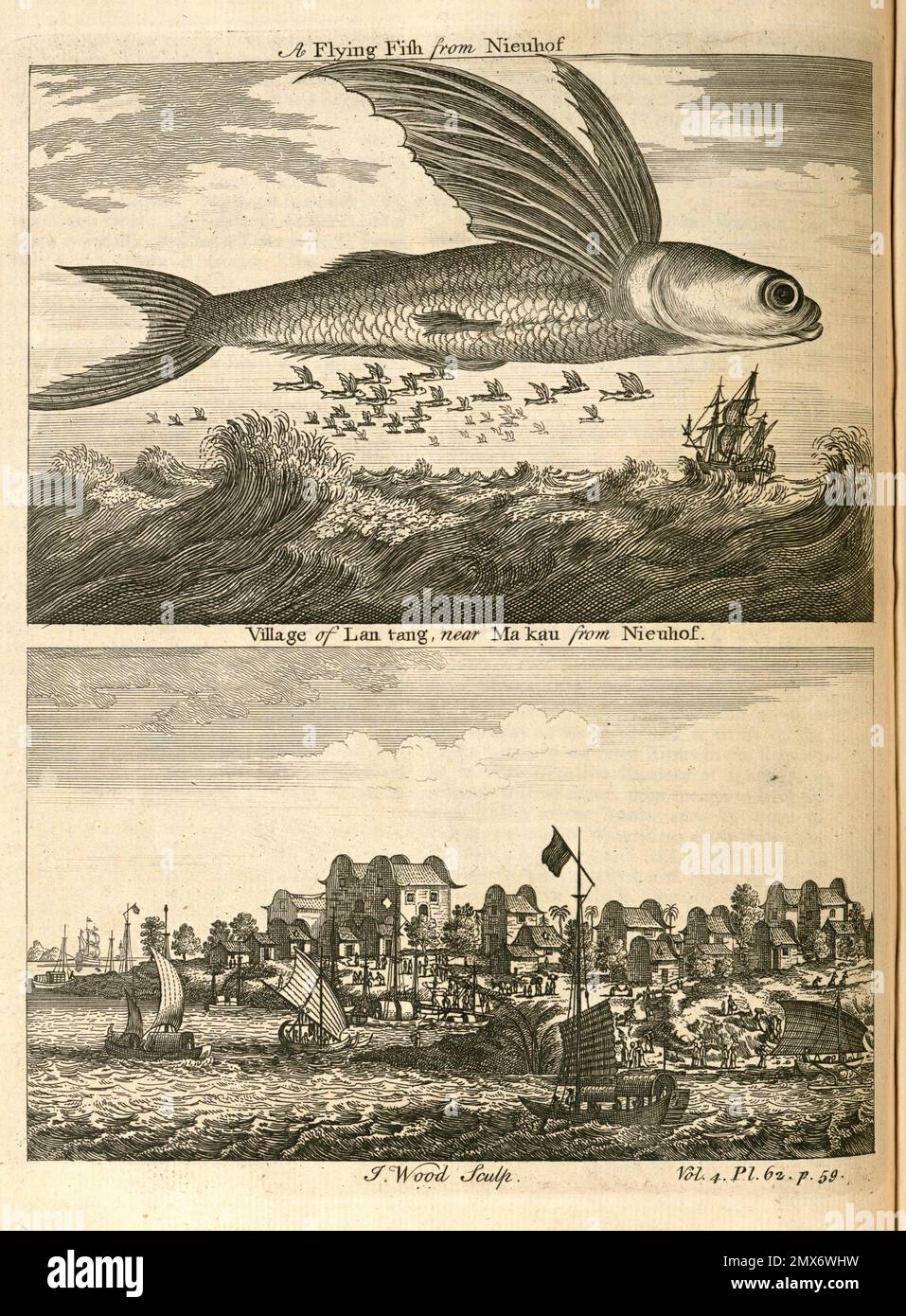 Ein fliegender Fisch; Dorf Lan-tang, nahe Ma-kau. Green, John (FL. 1730-1753 ) (Compiler) Astley, Thomas, -1759 (Publisher). Eine neue allgemeine Kollektion Stockfoto