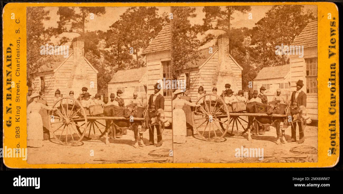 Eine Familienfahrt in Summerville, S.C. Barnard, George N. (1819-1902) (Fotograf). Robert N. Dennis-Sammlung stereoskopischer Ansichten USA Stockfoto