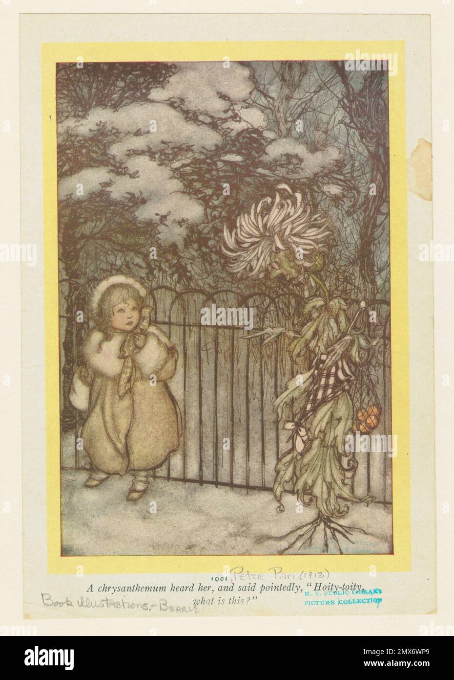 Ein Chrysanthemum hörte sie und sagte verständlicherweise: „Feindschaft, Was ist das?“. Rackham, Arthur (1867-1939) (Künstler). Kinderbuchillustrierungen Stockfoto