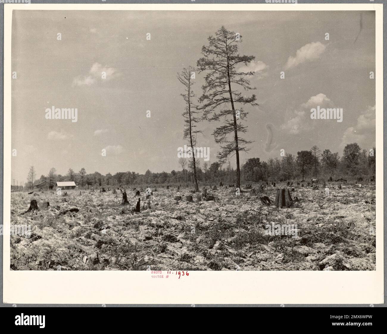 Eine Kuhweide im Meramac Forest-Projektgebiet, Salem, Missouri, mit rohem Land und Scheune im Hintergrund. Vereinigte Staaten. Farm Security Administration Stockfoto