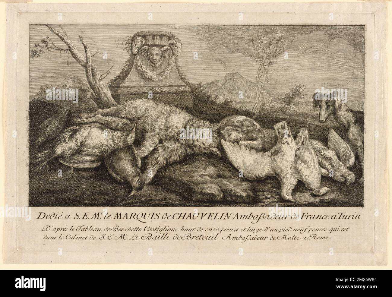 Eine tote Katze und ein Spiel. Castiglione, Giovanni Benedetto, 1609-1664 (Künstler) Anonym (Künstler). Italienischer Meister Stockfoto