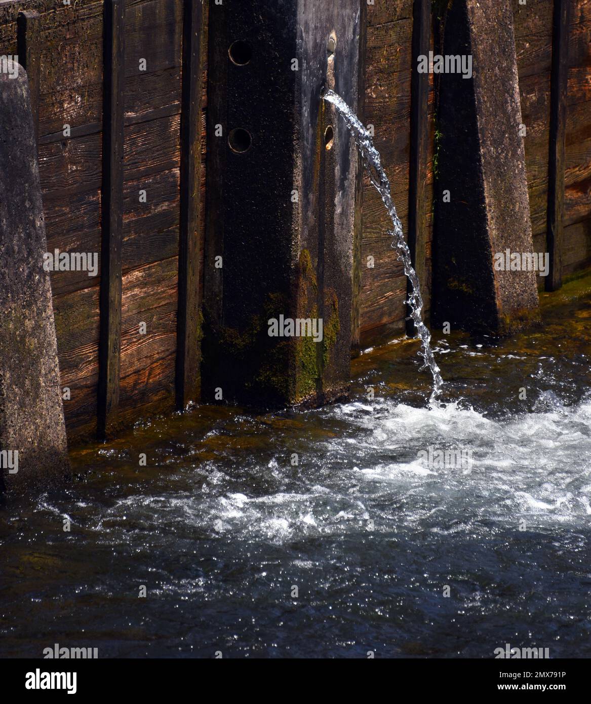 Der Weir-Staudamm aus Holz und Beton hält den South Holston River zurück. Durch das kleine runde Loch entweicht ein kleiner Strom. Stockfoto