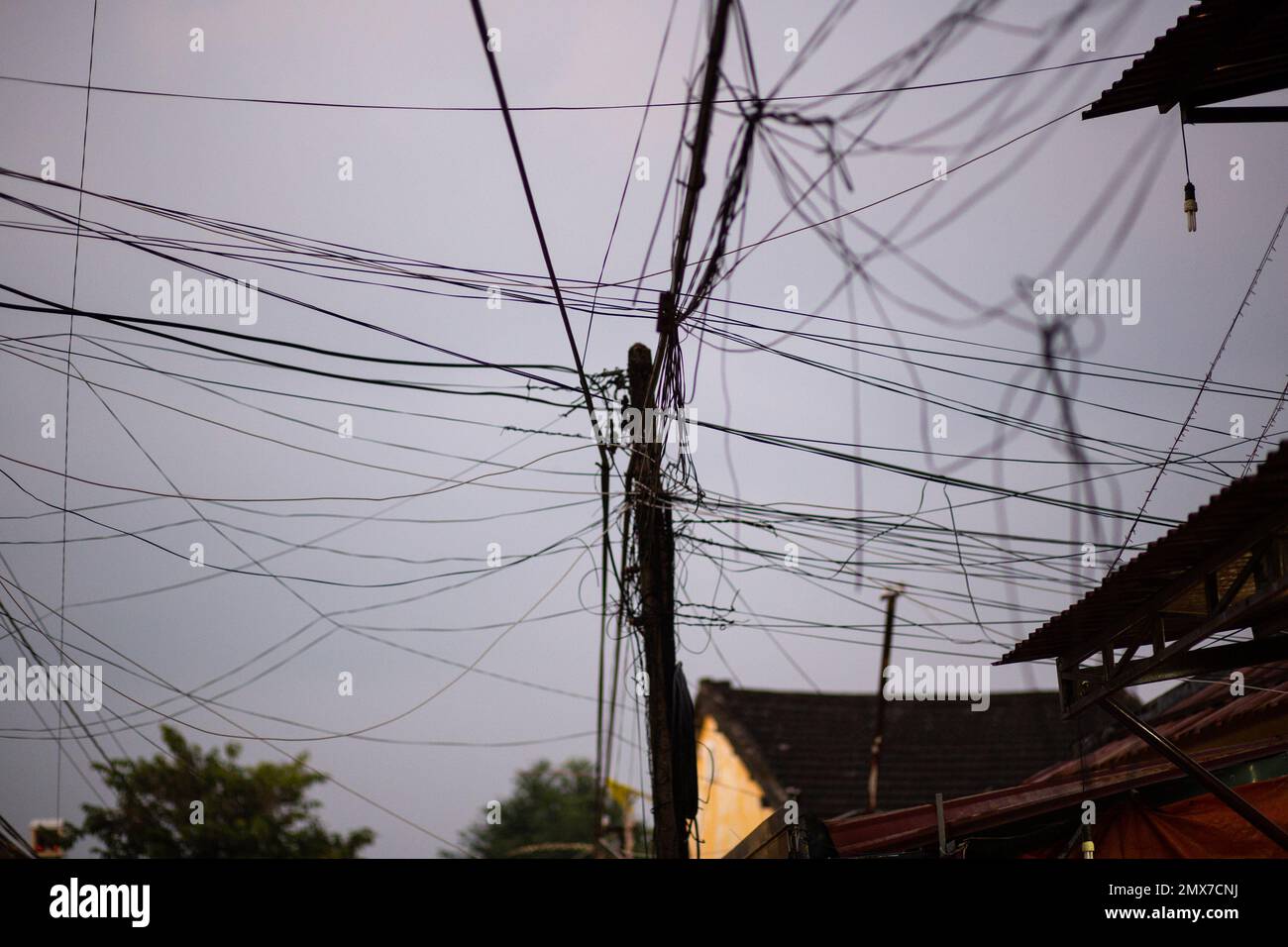 strom in asien 3 buchstaben