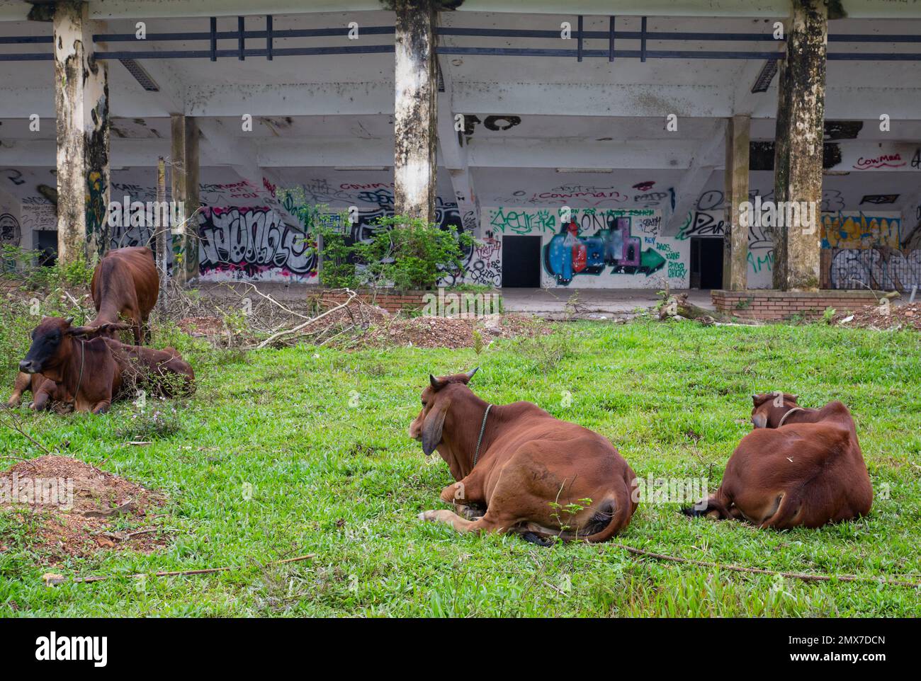 Verlassener Wasserpark Thuy Tien See - Hue Vietnam Stockfoto