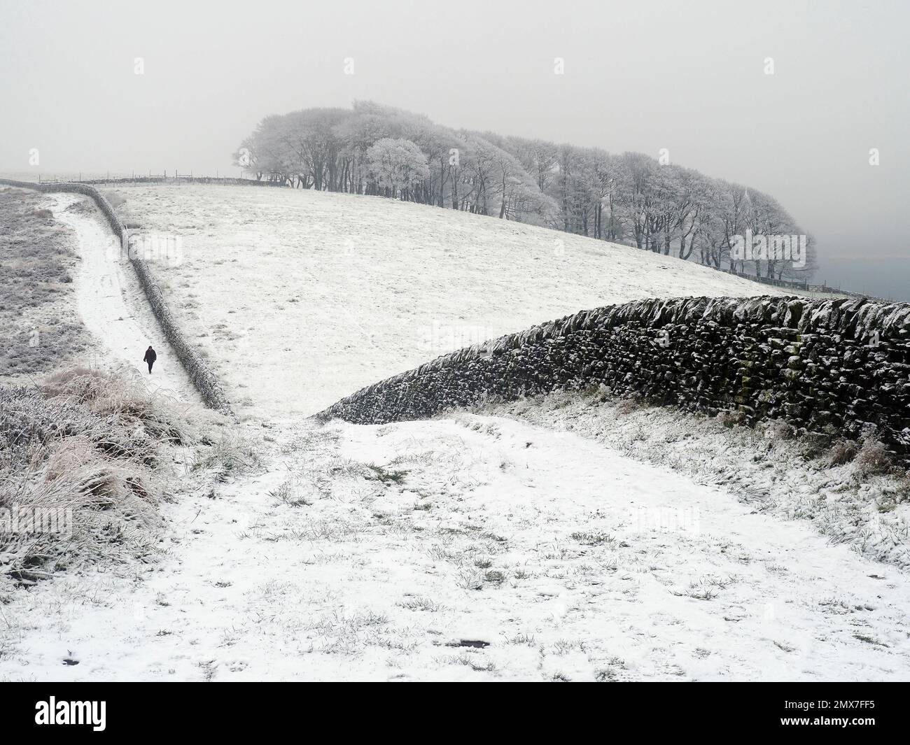 Walker in Snow, Roach End, Peak District, England Stockfoto