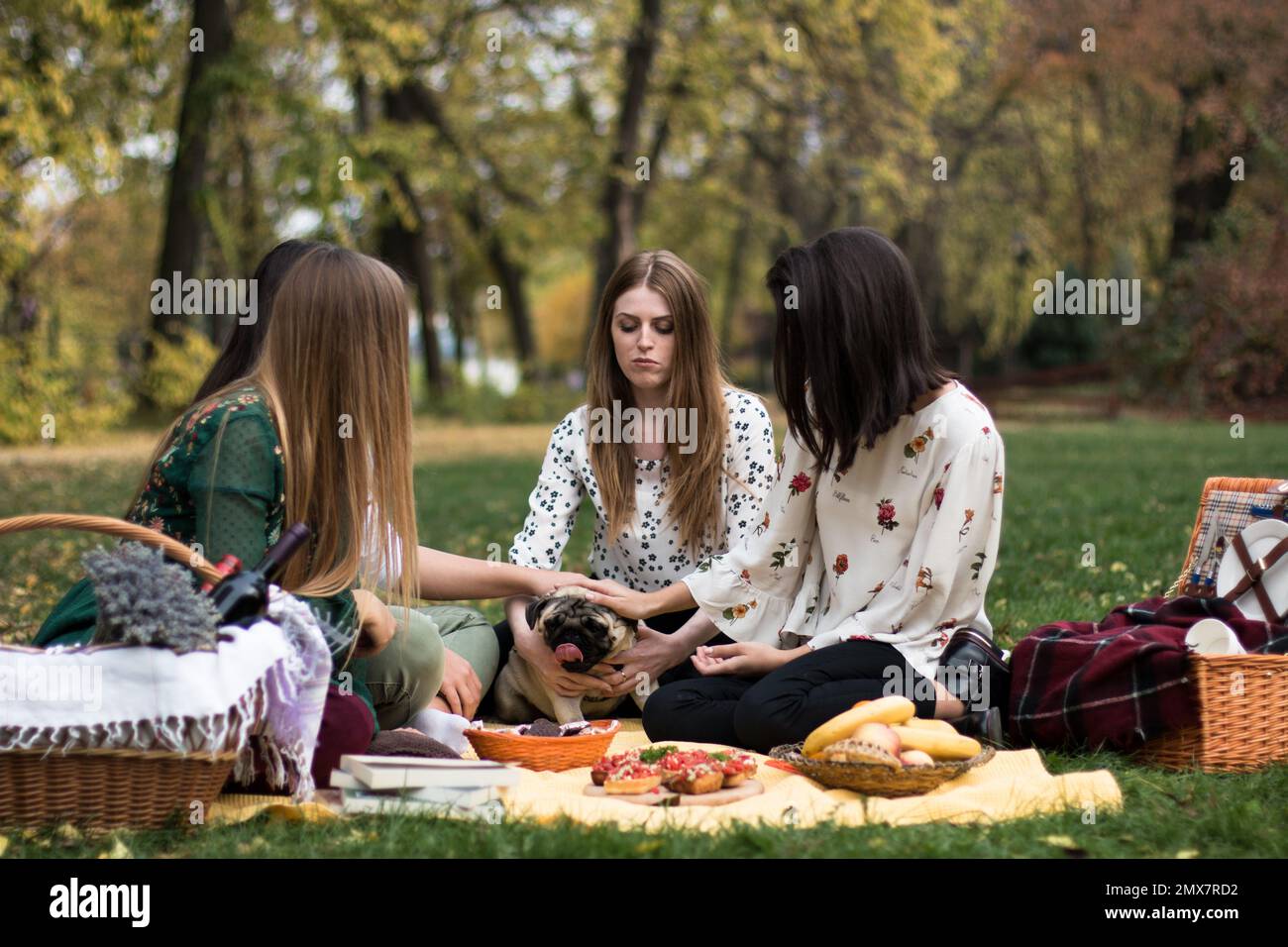 Eine Gruppe von vier jungen Frauen im Park auf einem lustigen Picknick, mit einem süßen Hund. Stockfoto