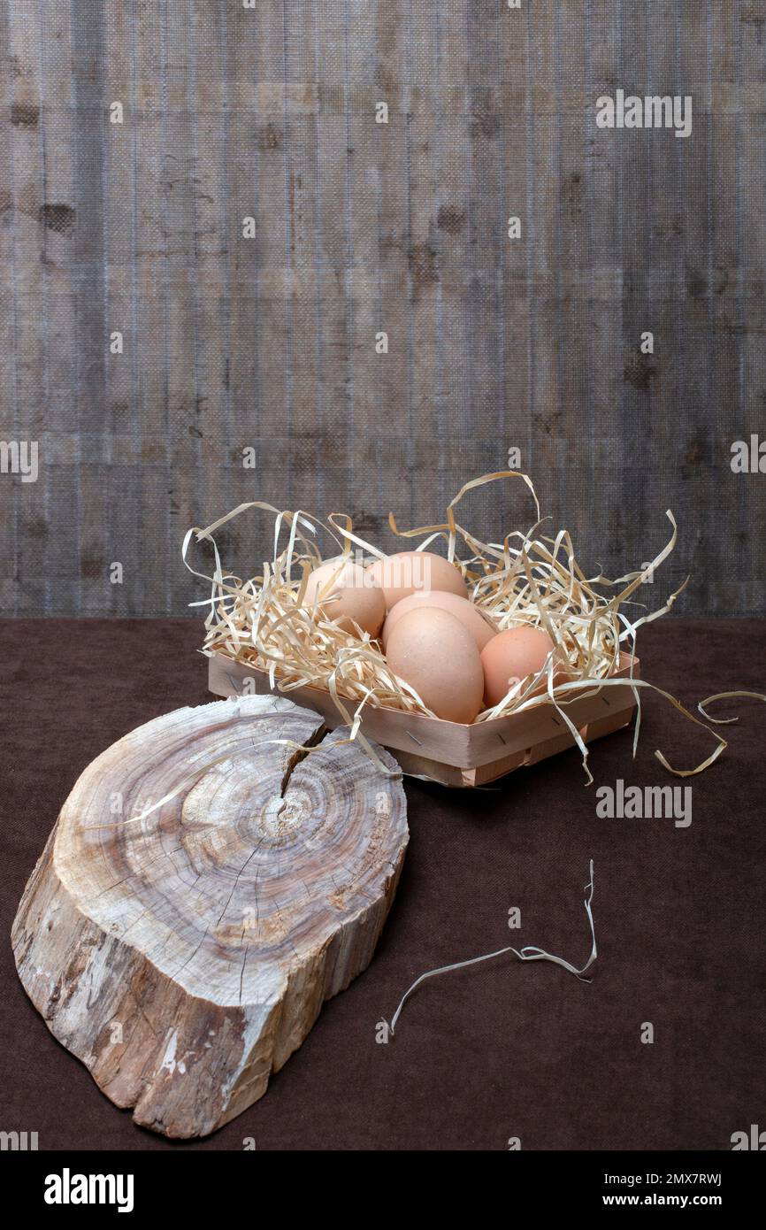 Fünf Hühnereier auf einem Teller mit Holzspänen Stockfoto