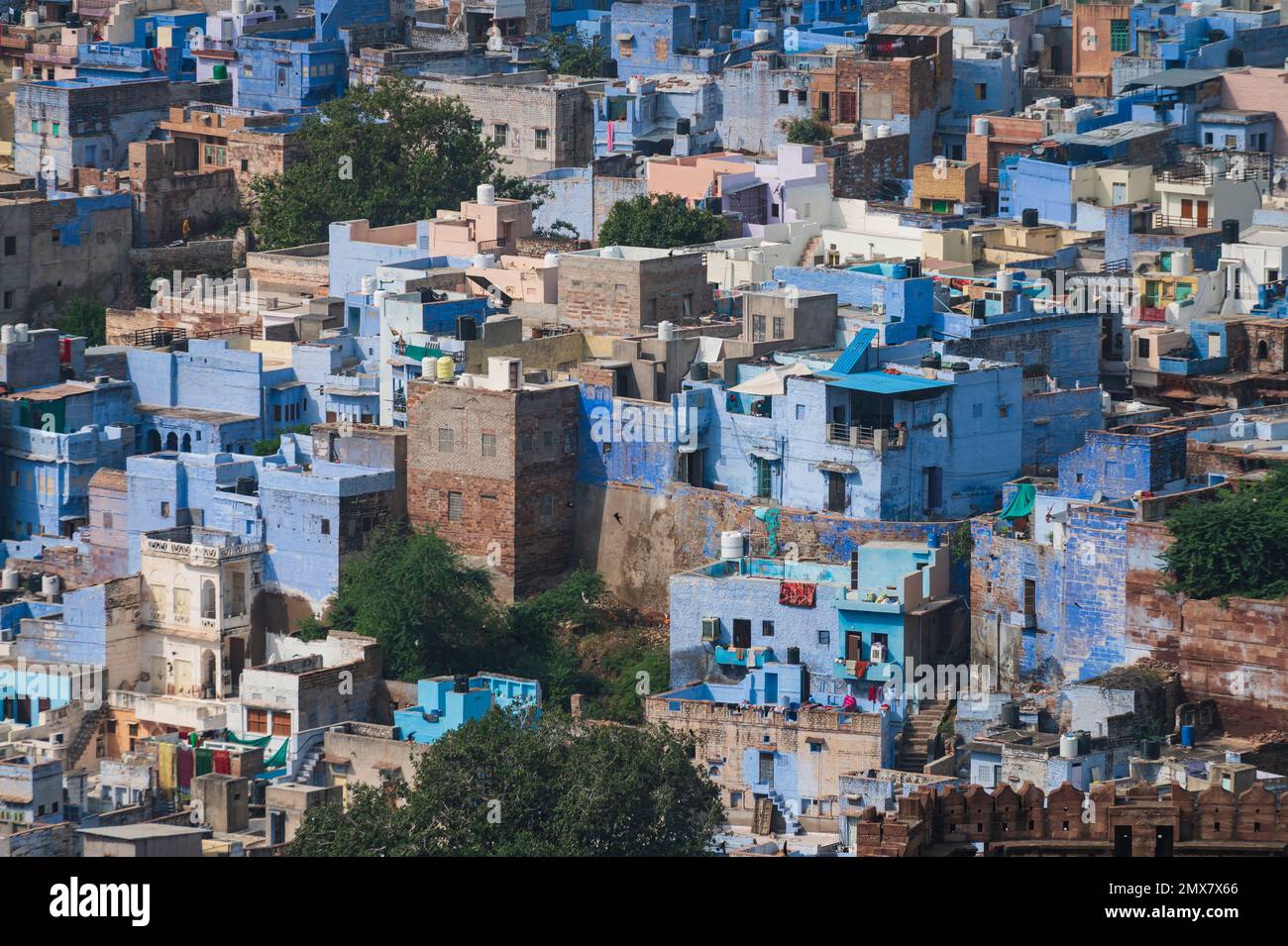 Luftaufnahme der blauen Stadt, Jodhpur, Rajasthan, Indien. Die Brahmanen verehren Lord Shiva und malten ihre Häuser in Blau, wie blau seine Lieblingsfarbe ist. Stockfoto