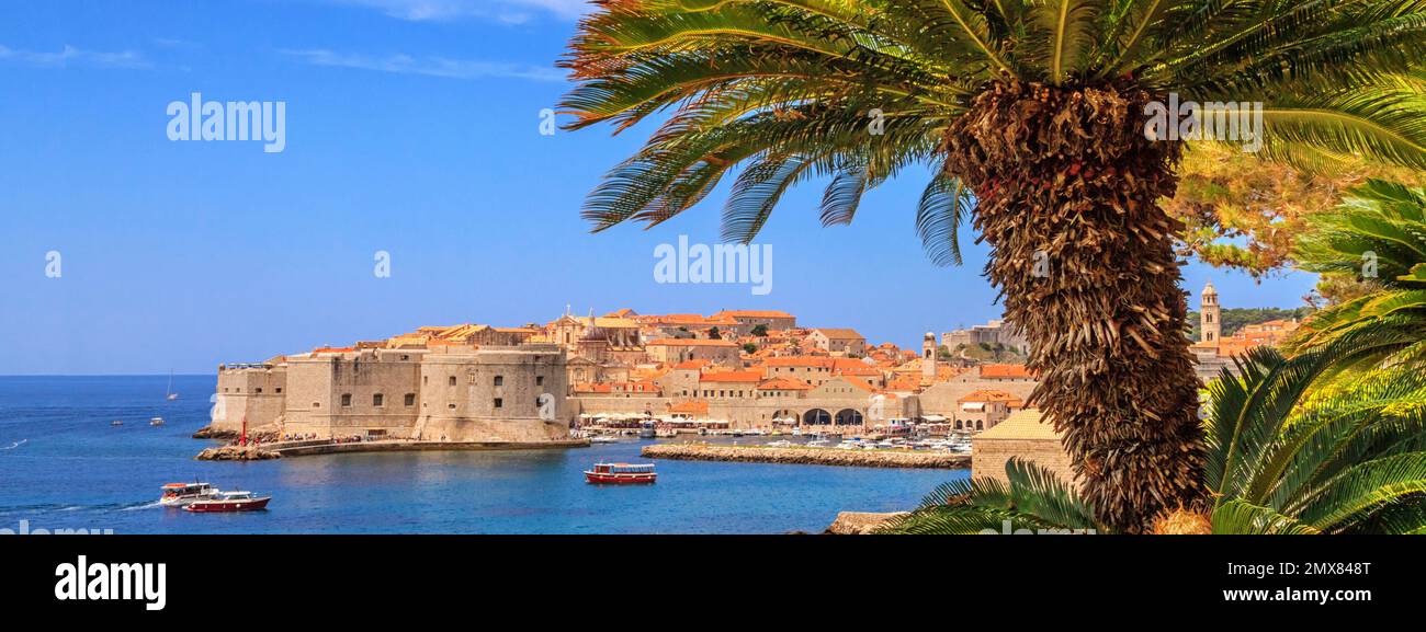 Sommerlandschaft an der Küste - Blick auf die Palmen im Hintergrund des Stadthafens der Altstadt von Dubrovnik an der Adriaküste von Kroatien Stockfoto