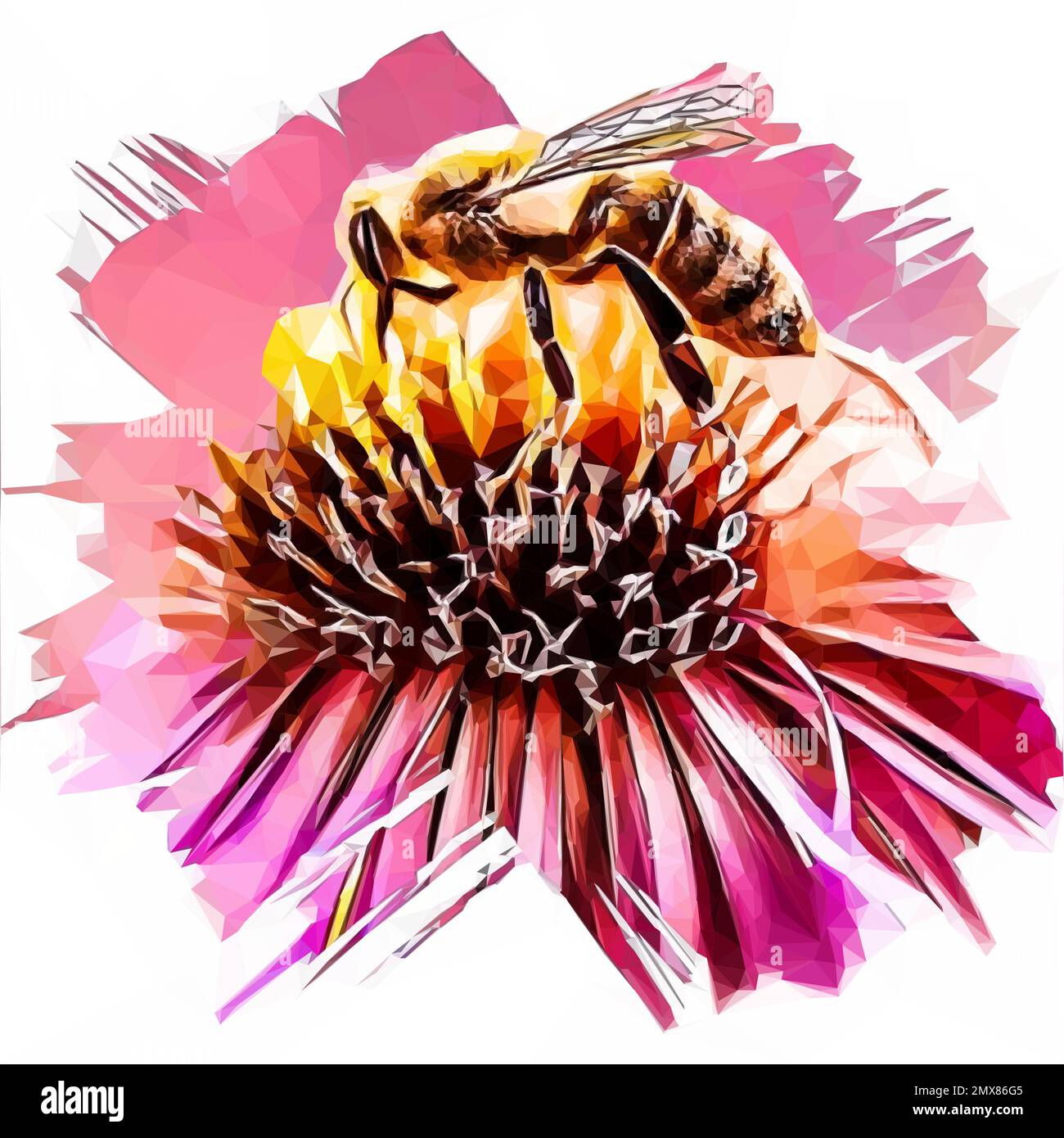 Eine Biene auf einer rosa Osterblume. Asteraceae-Blüten im Herbst. vektorilustration bei Low Poly Art. Stock Vektor