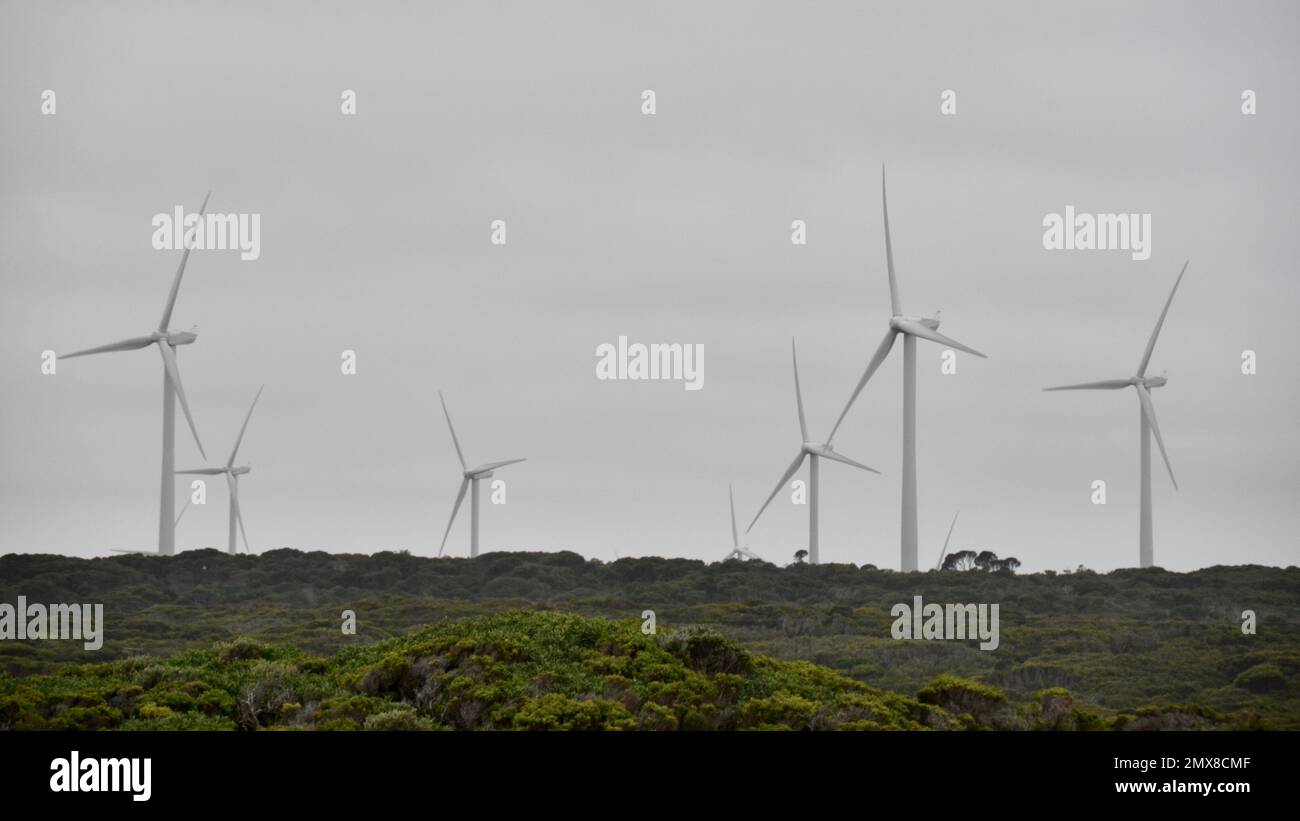 Die Windfarm an der viktorianischen Küste Australiens hat viele Turbinen über das Teatree Scrub, die grüne Energie und Strom erzeugen Stockfoto