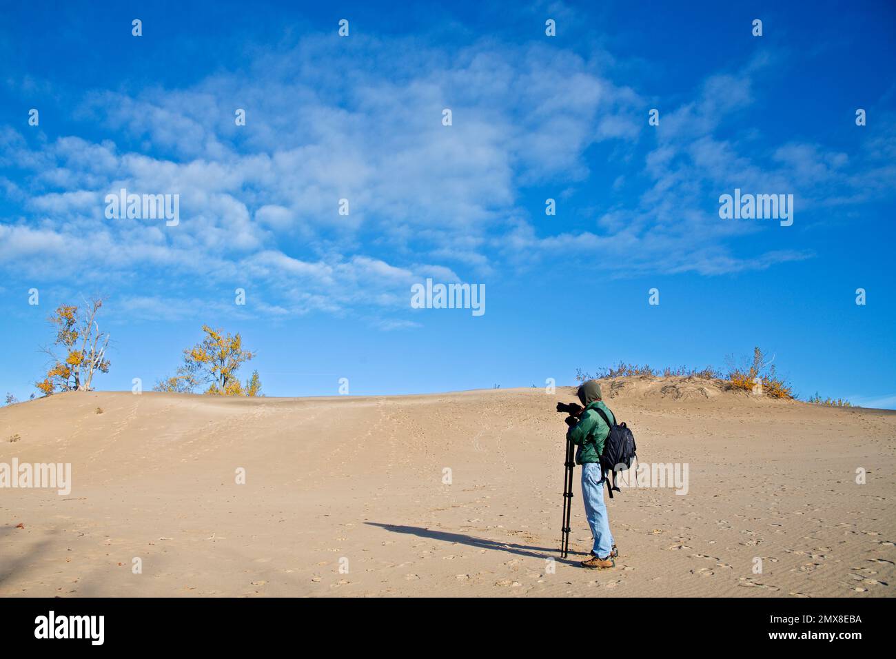 Ein männlicher Fotograf, der Fotos auf der Sanddüne mit blauem Himmel und Herbstblattfarbe macht Stockfoto