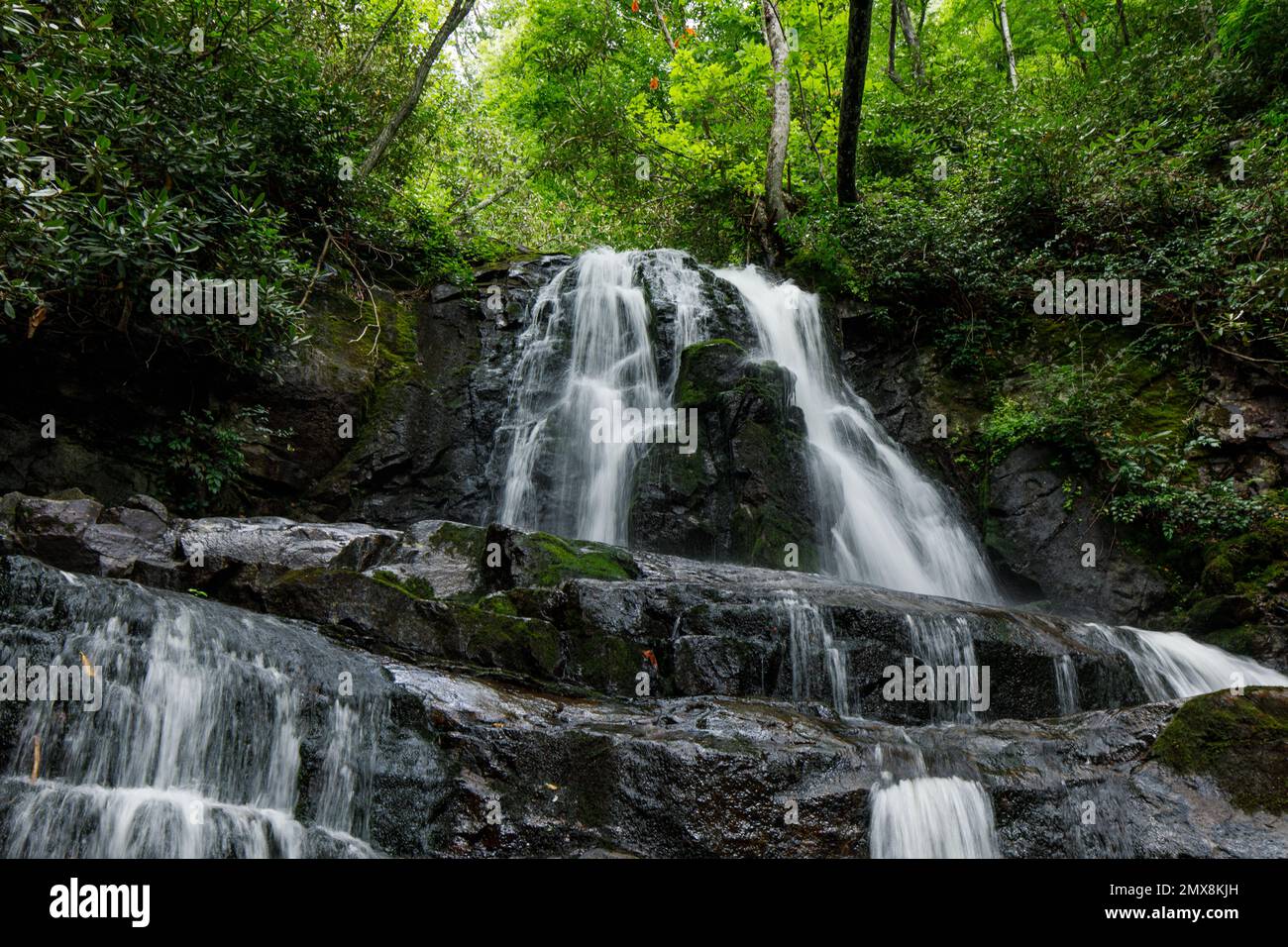 Laurel Falls am Laurel Falls Trail im Great Smoky Mountains-Nationalpark, Tennessee. Stockfoto