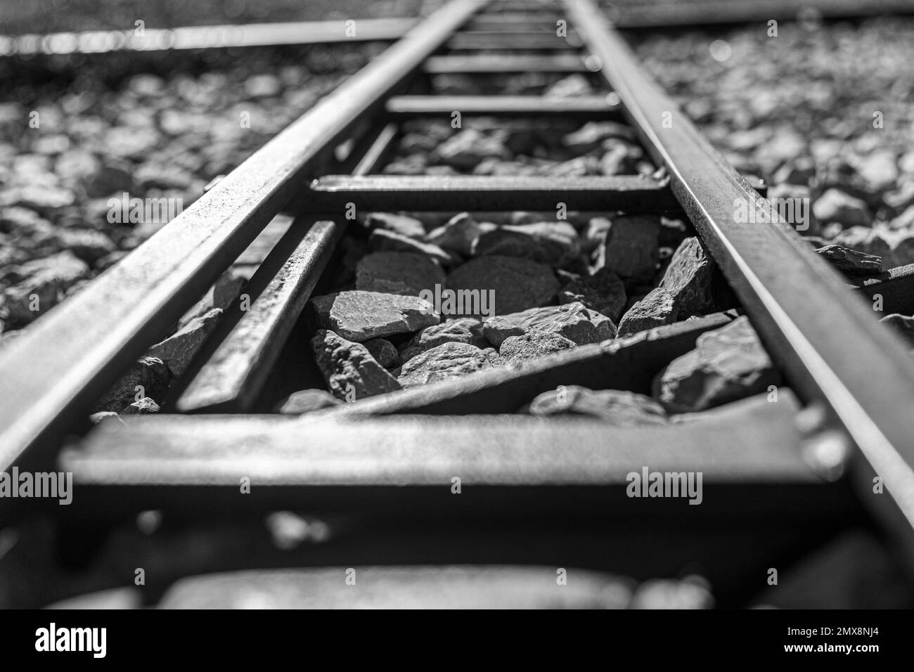 Schwarz-Weiß-Aufnahme von Schienen, die in die Ferne führen Aufnahme vom Boden aus Stockfoto