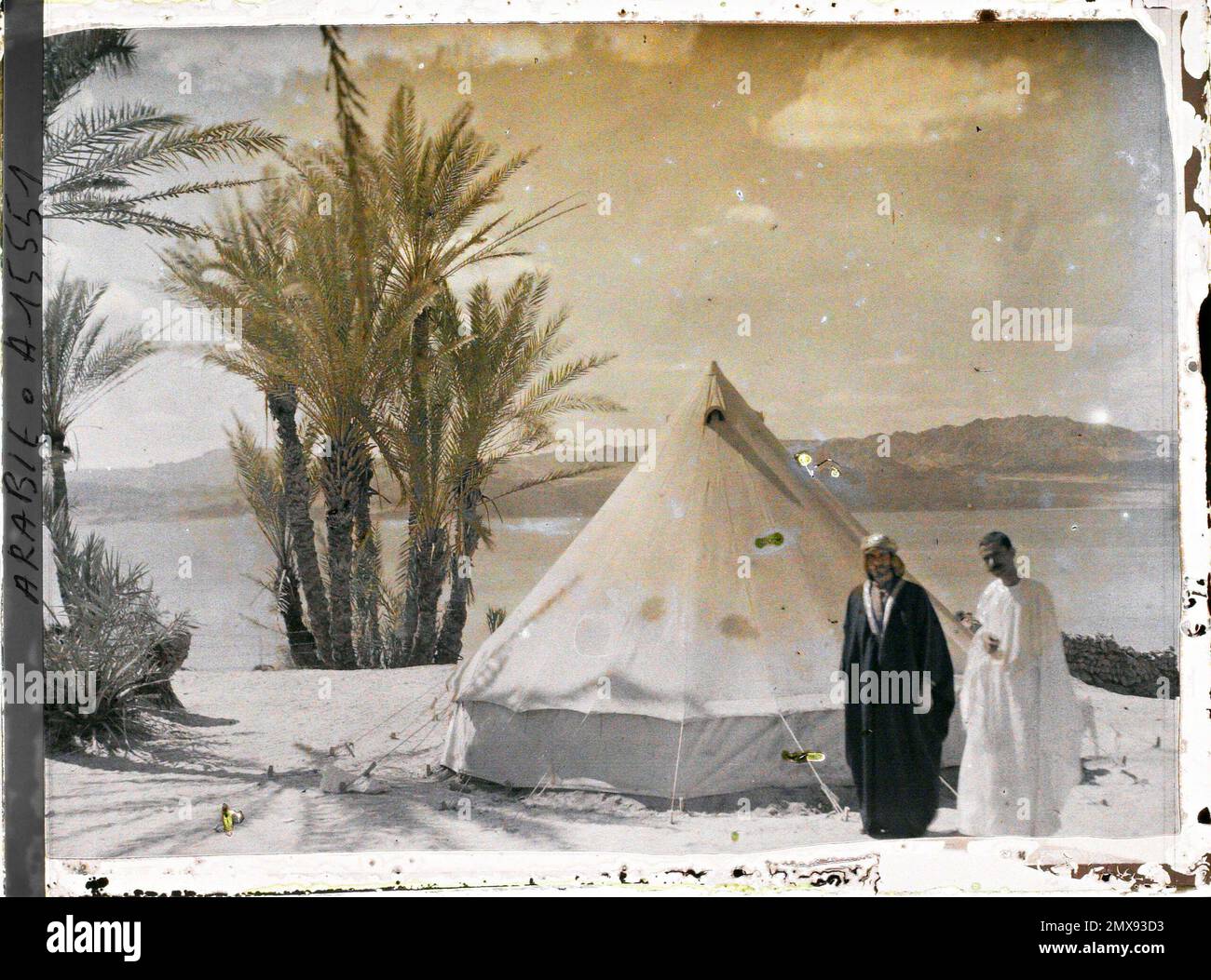 (Französisch - Aqaba , Arabie ( actuelle Jordanie ) Campement des Forces arabes du royaume du Hedjaz , dans une palmeraie au Bord du golfe d' Aqaba). Stockfoto