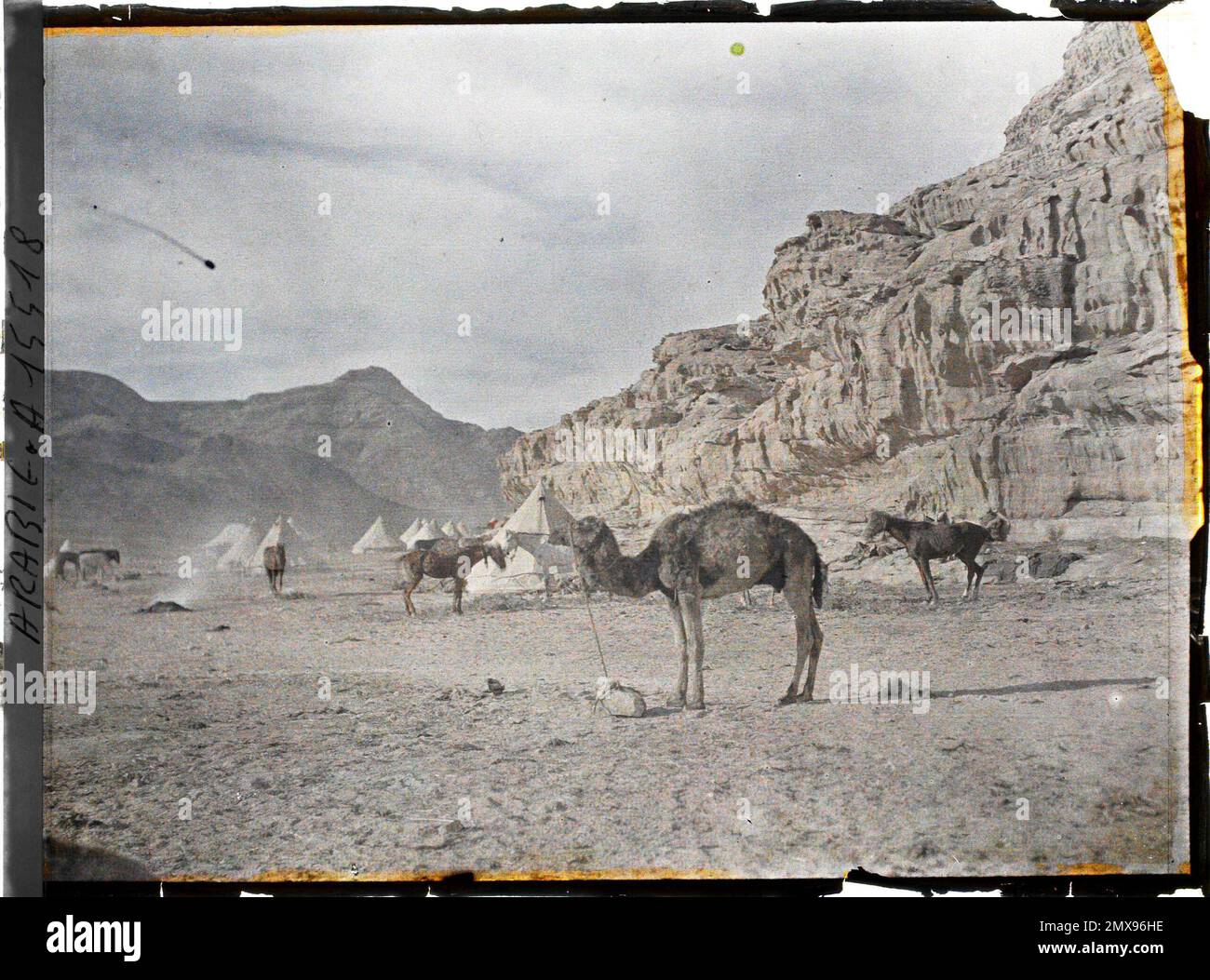 (Französisch - Quweira , Arabie ( actuelle Jordanie ) Sous les falaises , les Tentes du Campement des Forces arabes du royaume du Hedjaz). Stockfoto