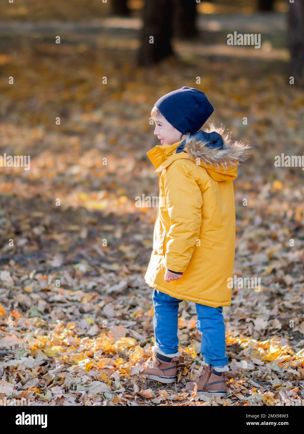 Der kleine Junge in der gelben Jacke geht im Park spazieren. Ein sonniger Herbsttag. Freizeitaktivitäten im Freien. Herbstsaison. Stockfoto