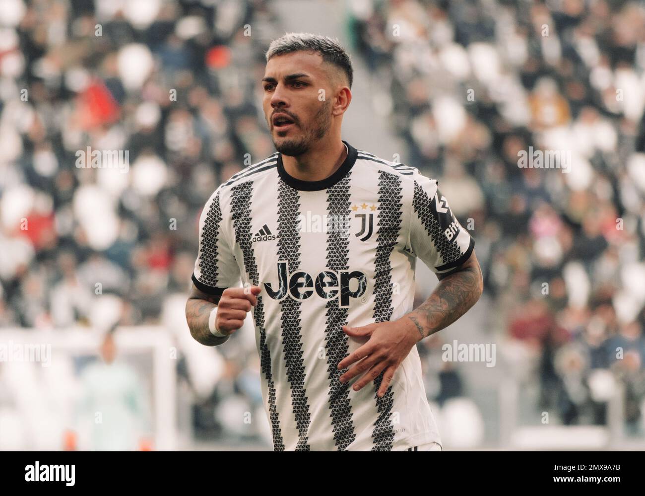 Leandro Paredes Portrait Stockfoto