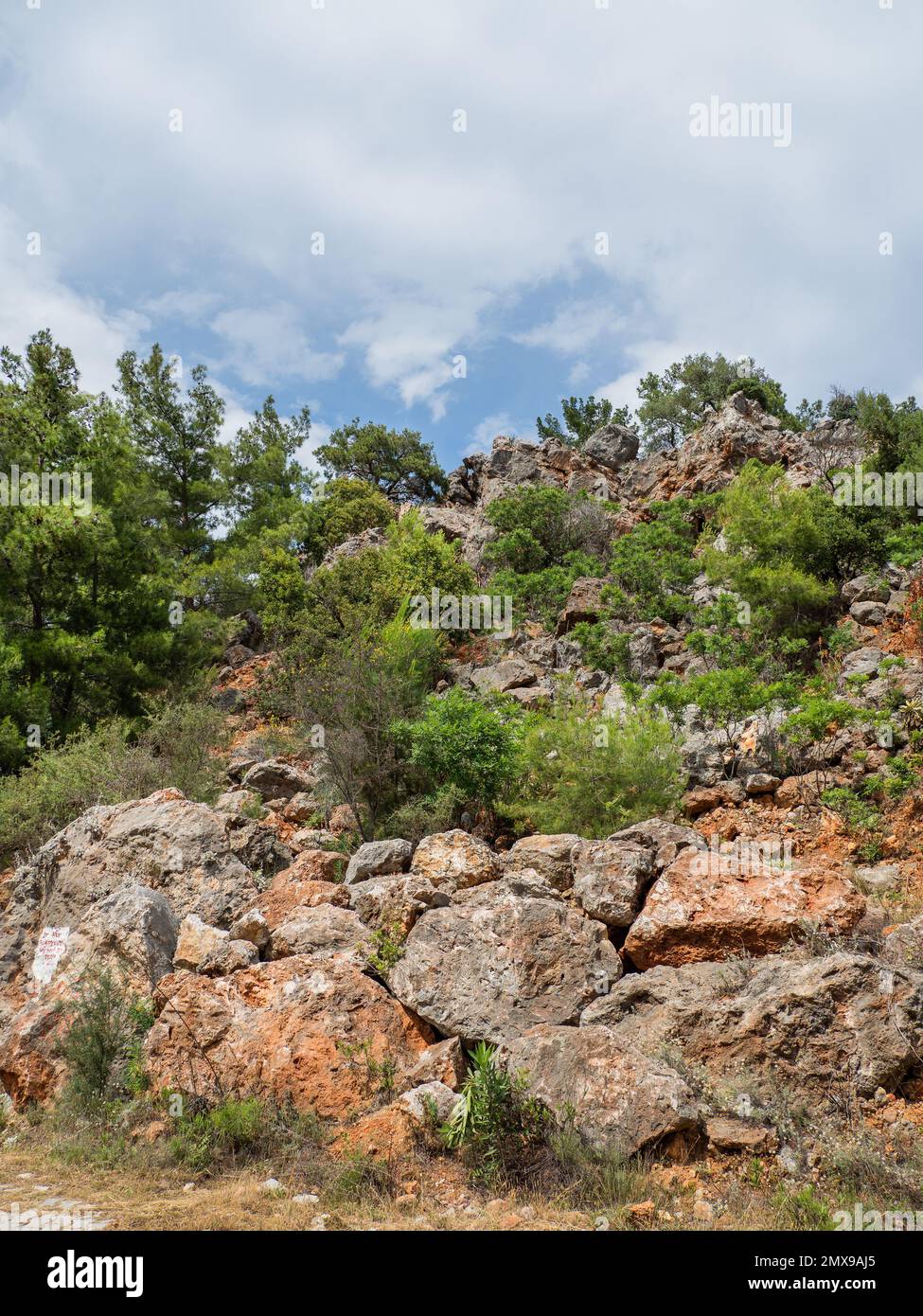 Felsen und Bäume an den Berghängen des Goynuk Canyon im Beydaglari Coastal National Park. Truthahn. Stockfoto