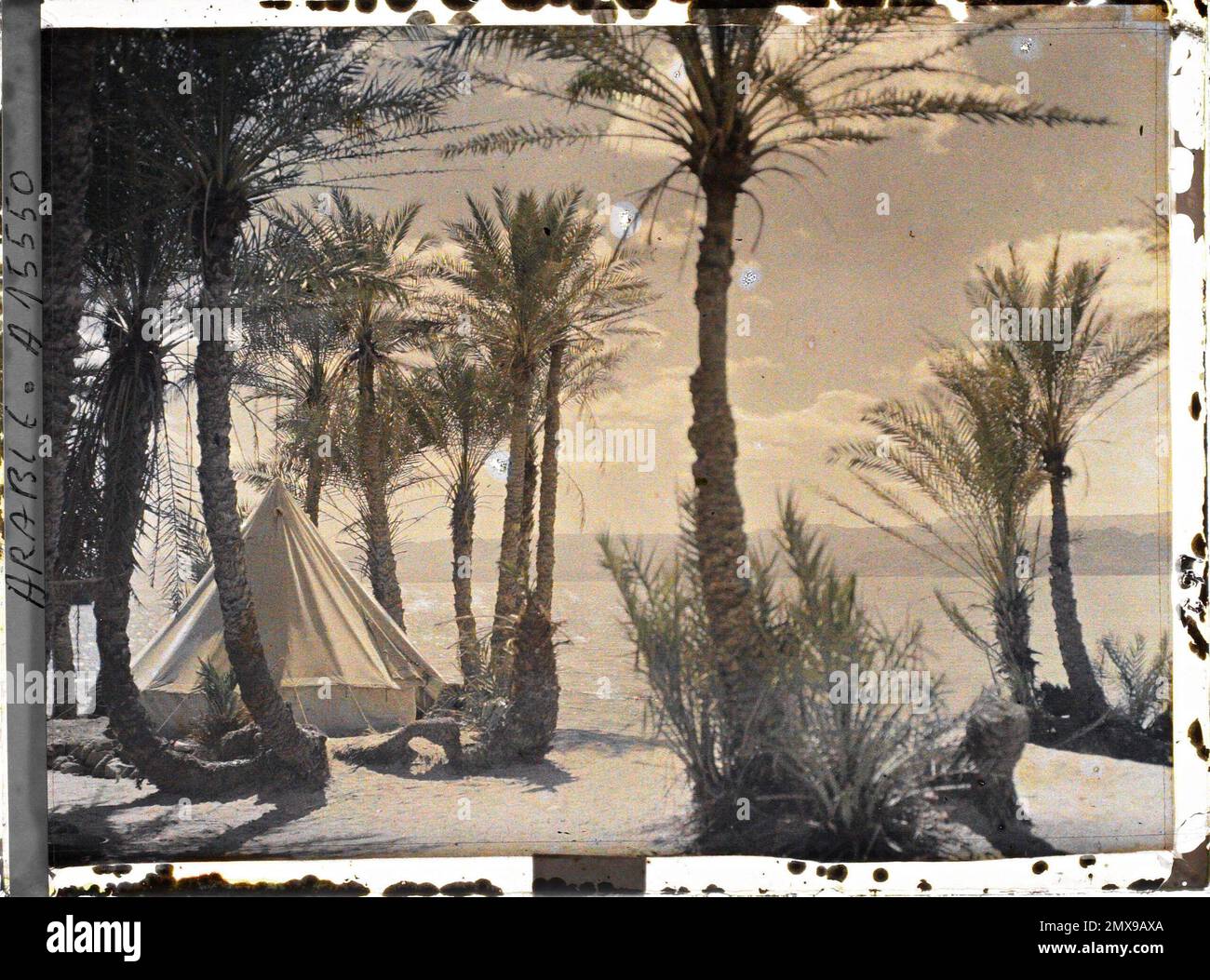 (Französisch - Aqaba , Arabie ( actuelle Jordanie ) Une tente du Campement des Forces arabes du royaume du Hedjaz dans une palmeraie au Bord du golfe d' Aqaba). Stockfoto