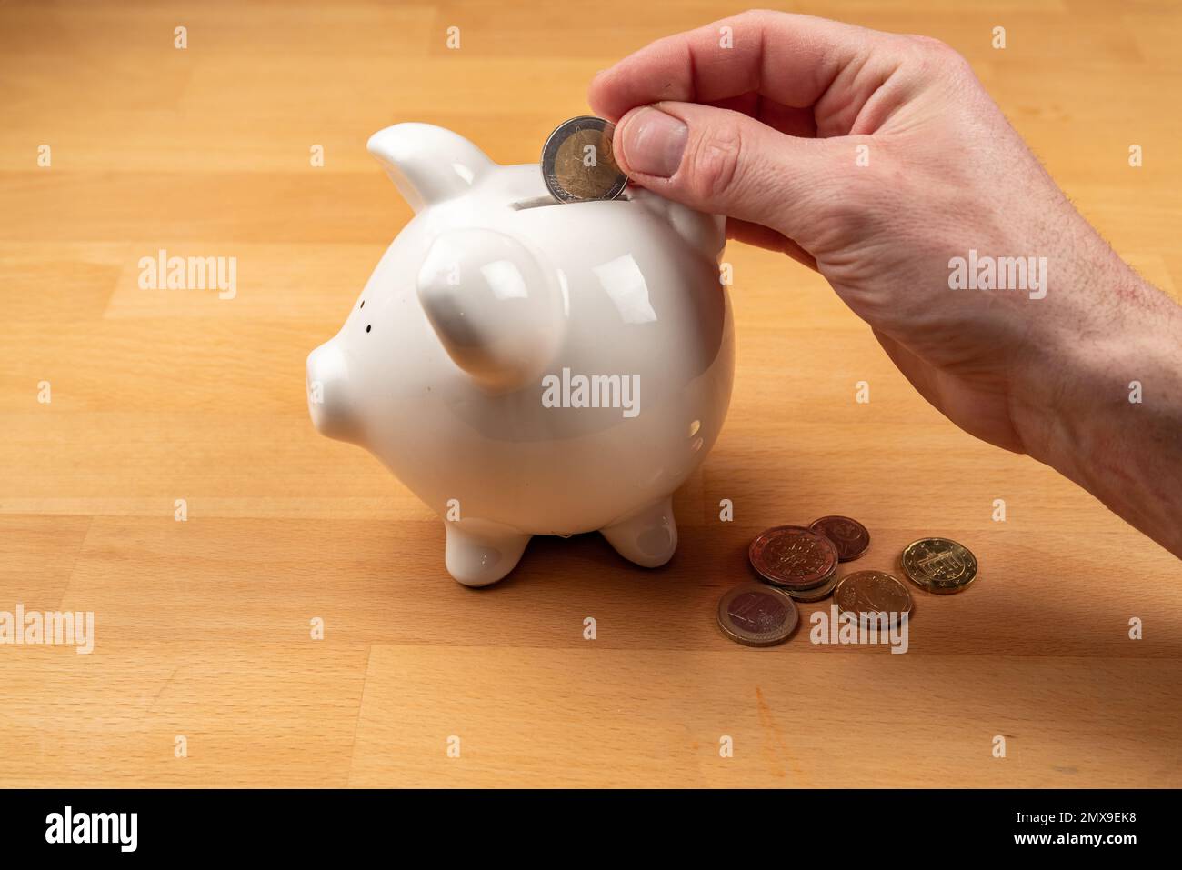 Die Hand steckt die Euro-Münze in das Sparschwein Stockfoto