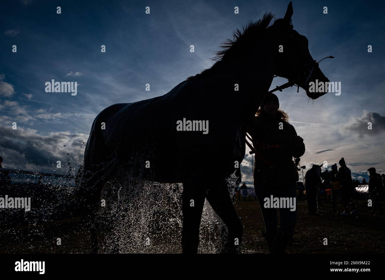 Action from Cocklebarrow Point to Point Races, Februar 2023 Stockfoto