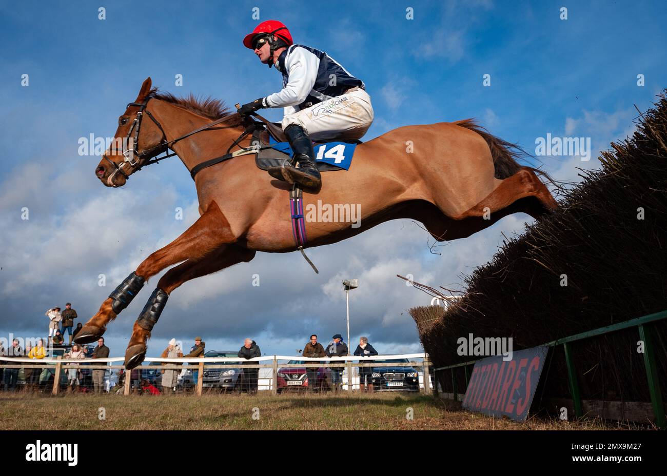 Action from Cocklebarrow Point to Point Races, Februar 2023 Stockfoto