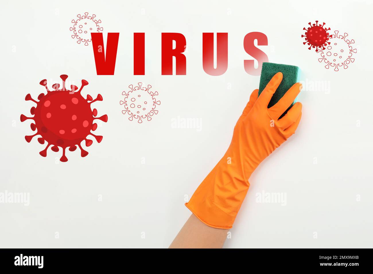 Reinigung vs. Viren. Frau wäscht Oberfläche mit Schwamm und Desinfektionslösung Stockfoto