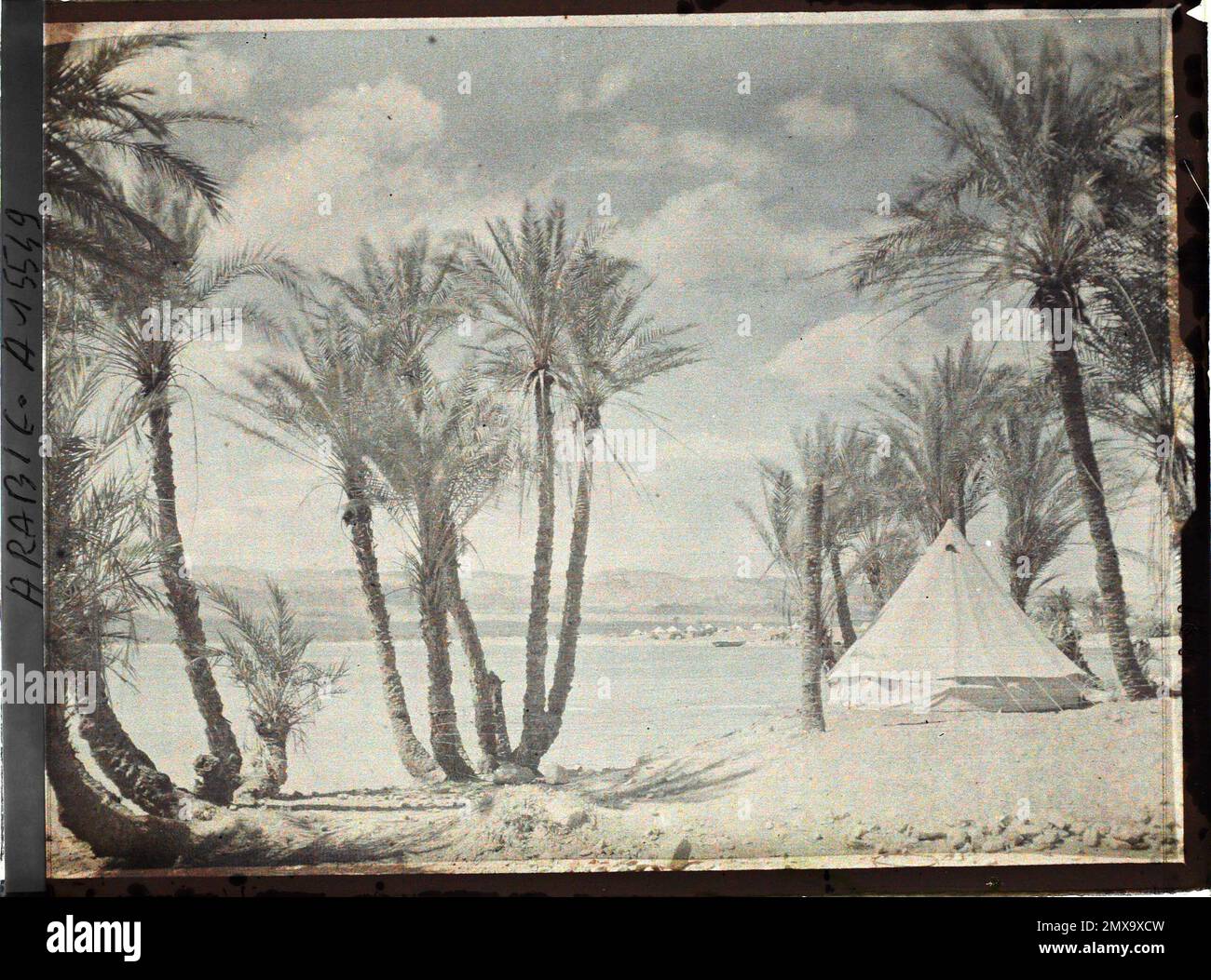 (Französisch - Aqaba , Arabie ( actuelle Jordanie ) Une tente du Campement des Forces arabes du royaume du Hedjaz dans une palmeraie au Bord du golfe d' Aqaba). Stockfoto