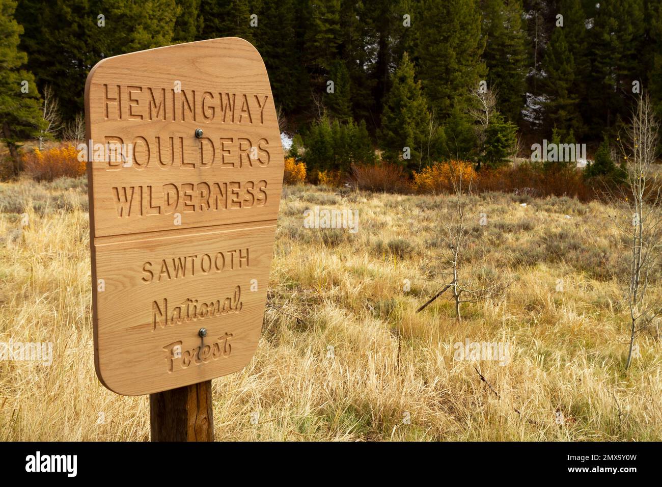Ein neues Holzschild mit geschnitzten Wörtern für die Hemingway Boulders Wilderness Area im Sawtooth National Forest in Idaho, USA, im Herbst aufgenommen. Stockfoto