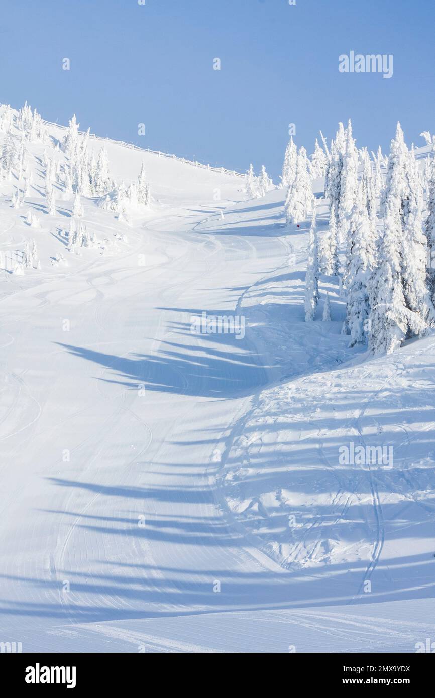 Eine perfekt gepflegte Skipiste im Whitefish Mountain Resort in Montana, USA, an einem klaren, sonnigen Tag, ohne Menschen, zeigt, wie unüberfüllt es sein kann. Stockfoto