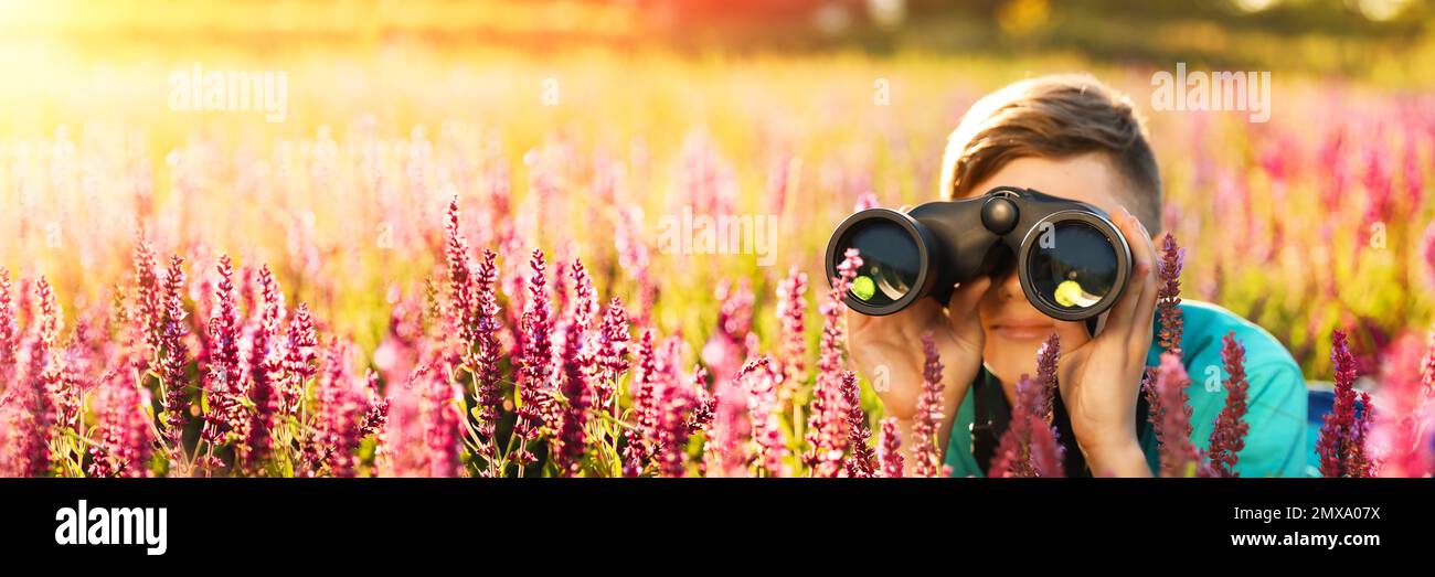Teenager mit Fernglas im Feld an sonnigen Tagen. Bannerdesign  Stockfotografie - Alamy