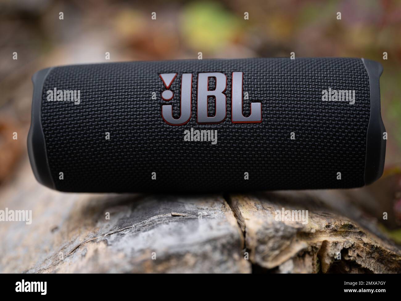 LEMBERG, UKRAINE - 12. OKTOBER 2022: JBL Flip 6 Black, tragbarer bluetooth-Lautsprecher für den Außenbereich auf einem Holzklotz Stockfoto