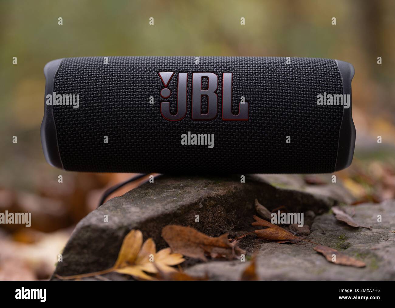 LEMBERG, UKRAINE - 12. OKTOBER 2022: JBL Flip 6 Black, tragbarer bluetooth-Lautsprecher für den Außenbereich im Herbstbrief Stockfoto