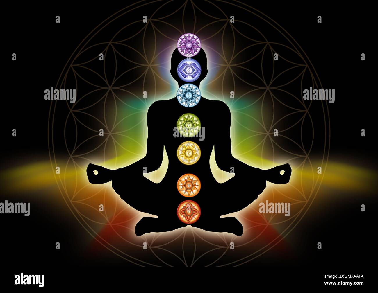 Menschliche Silhouette in Yoga/Lotus-Pose mit 7 Chakras und Blume des Lebens. (Menschliche Energie Körper, Aura, Yoga Lotus Pose). Stockfoto
