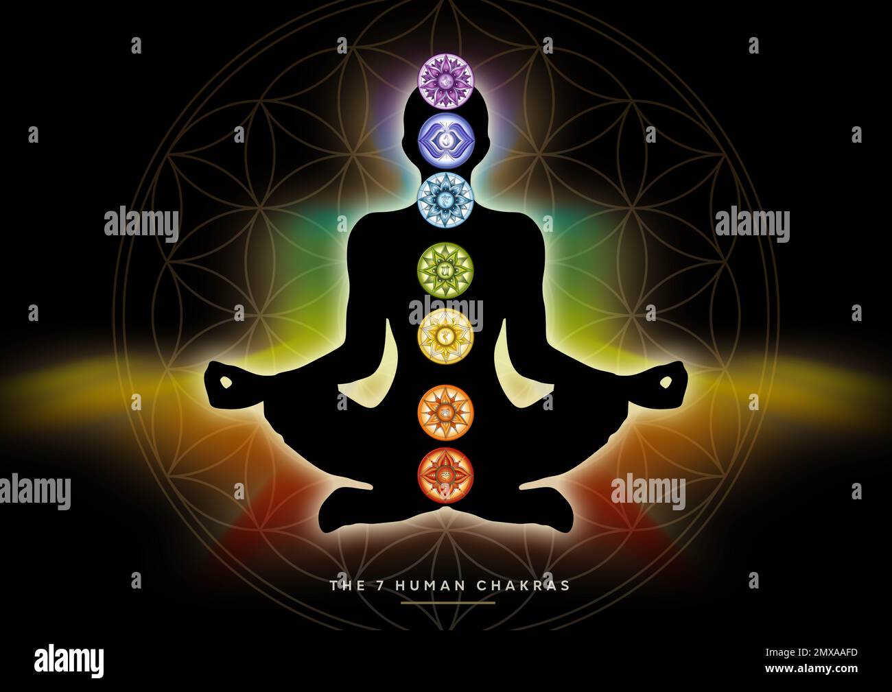 Menschliche Silhouette in Yoga/Lotus-Pose mit 7 Chakras und Blume des Lebens. (Menschliche Energie Körper, Aura, Yoga Lotus Pose). Stockfoto
